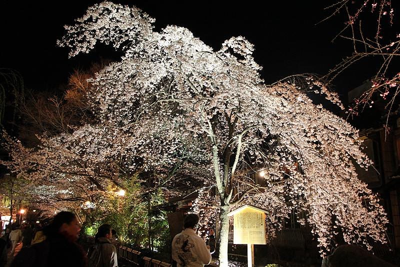 DSC00341(1).JPG DSC00341(1).JPG