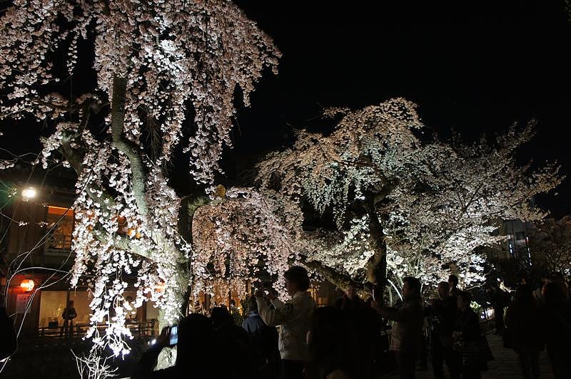 DSC00339.JPG DSC00339.JPG