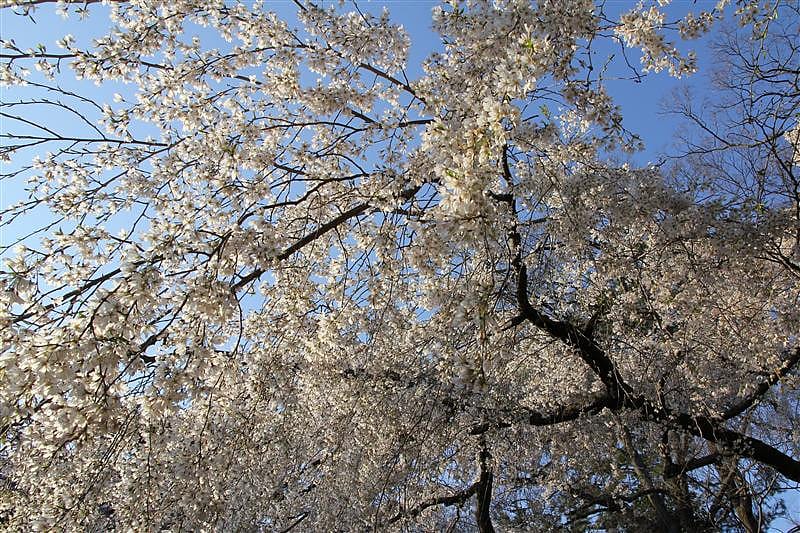 DSC00240.JPG DSC00240.JPG