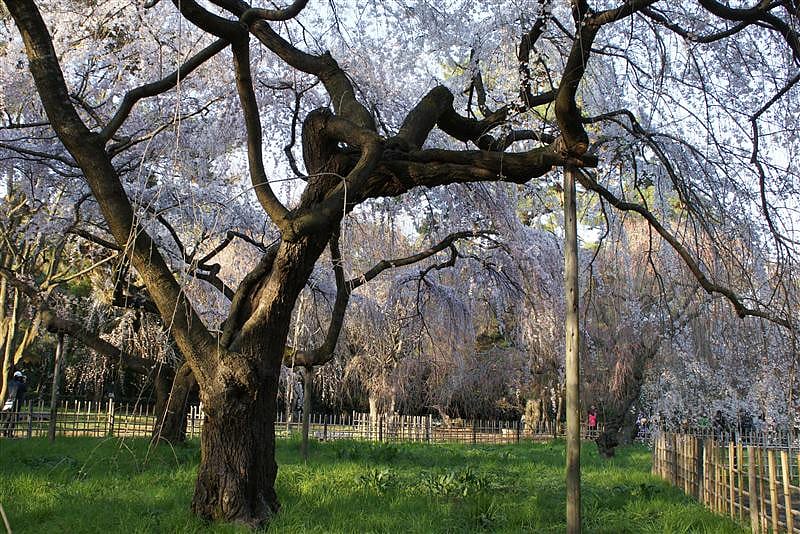 DSC00257.JPG DSC00257.JPG