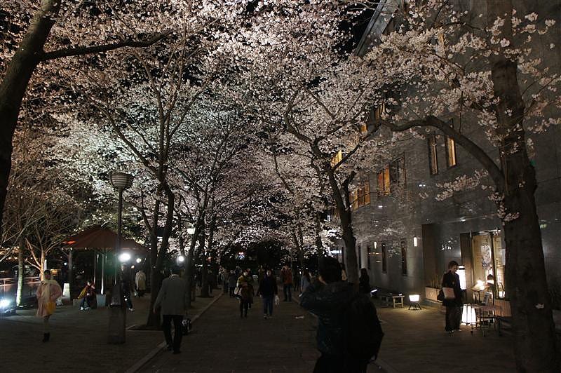 DSC00351.JPG DSC00351.JPG