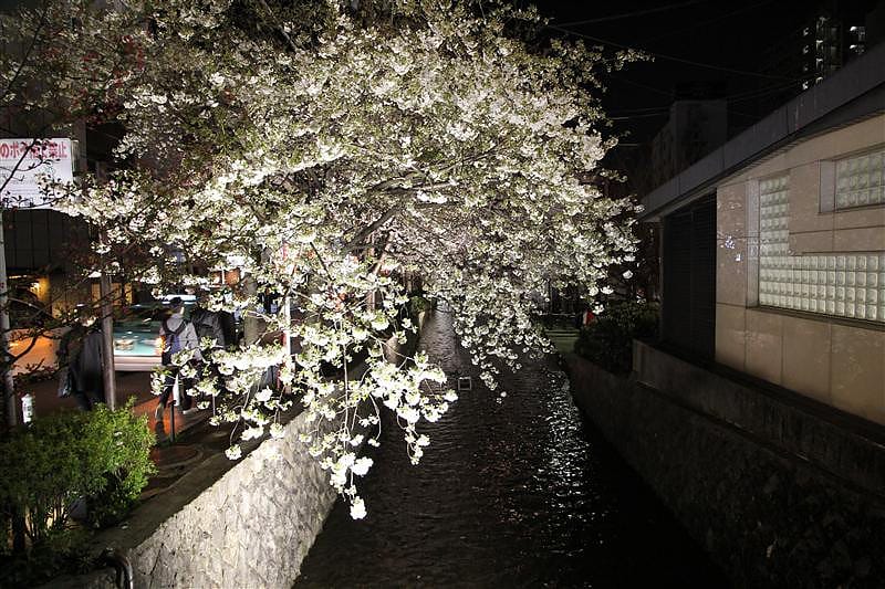 DSC00355.JPG DSC00355.JPG