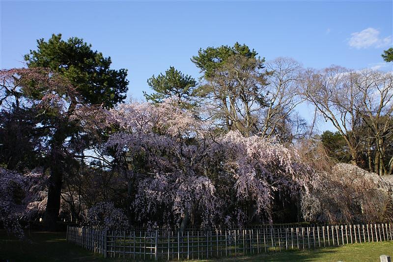 DSC00233.JPG DSC00233.JPG