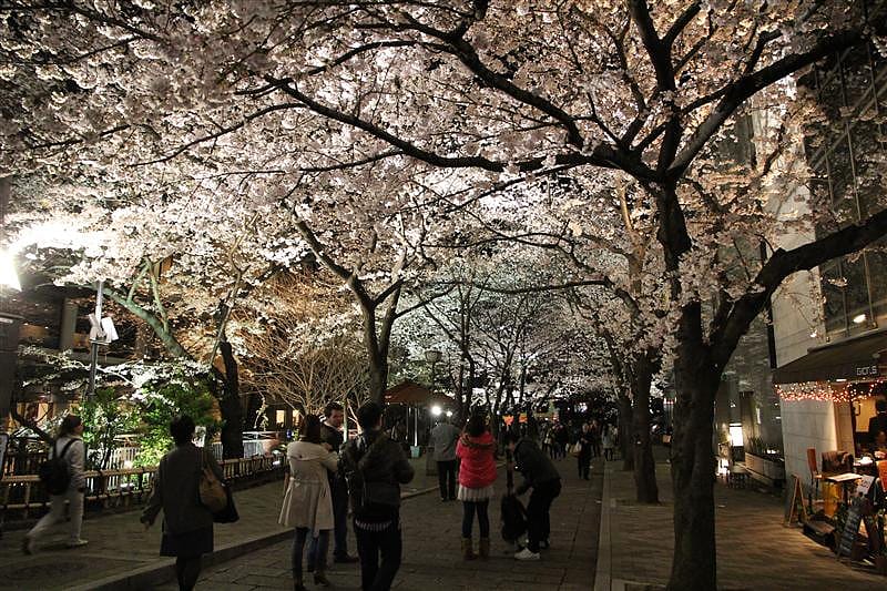 DSC00350.JPG DSC00350.JPG