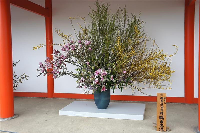 DSC00170.JPG DSC00170.JPG