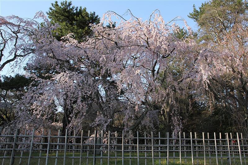 DSC00238.JPG DSC00238.JPG