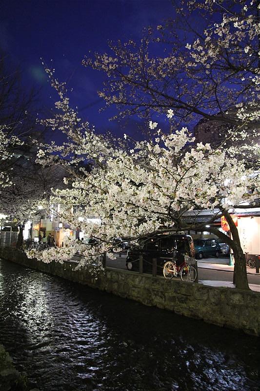 DSC00295.JPG DSC00295.JPG