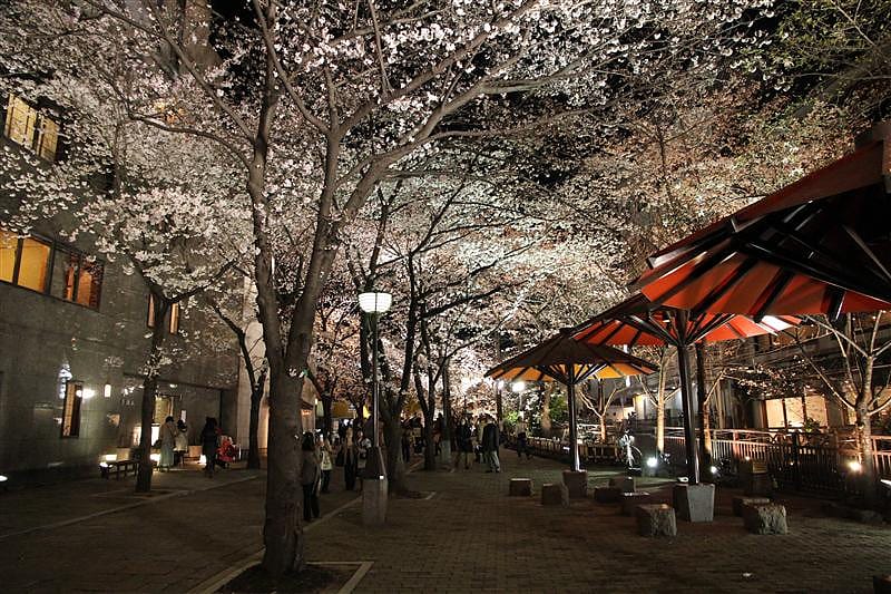 DSC00331.JPG DSC00331.JPG