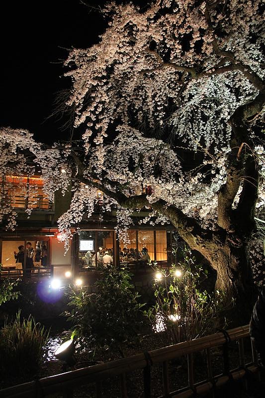 DSC00347(5).JPG DSC00347(5).JPG