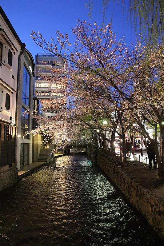 DSC00287.JPG DSC00287.JPG