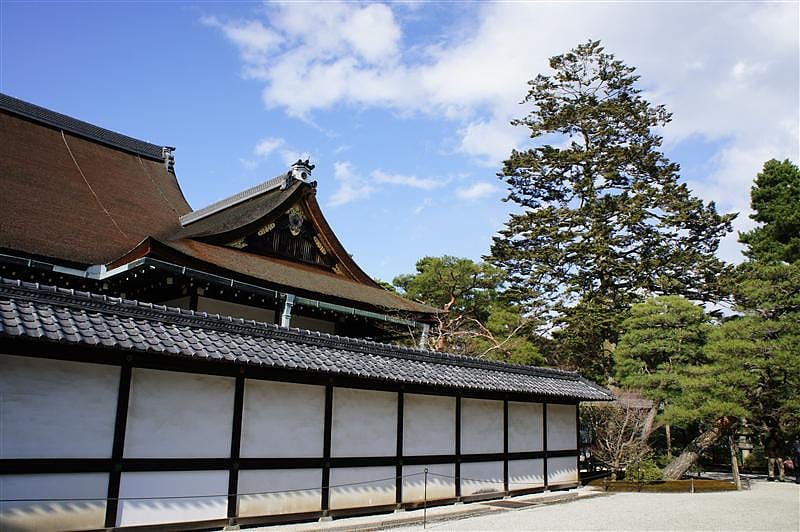 DSC00194.JPG DSC00194.JPG