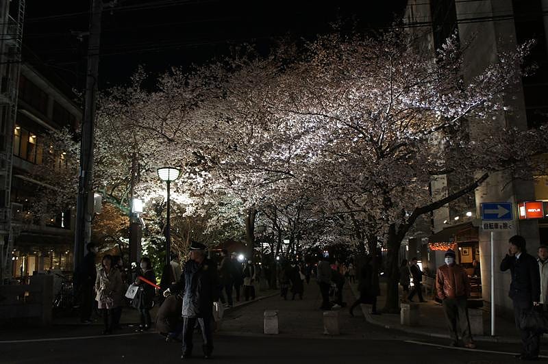 DSC00348.JPG DSC00348.JPG