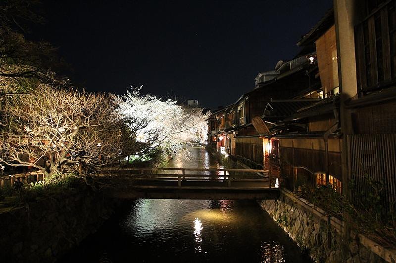 DSC00335.JPG DSC00335.JPG