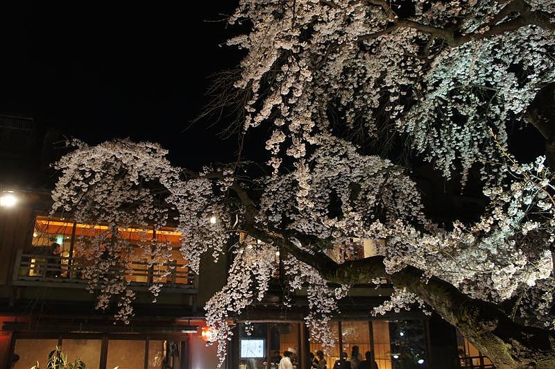 DSC00338.JPG DSC00338.JPG