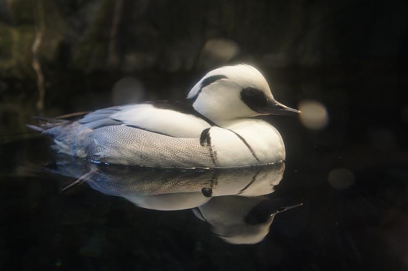 DSC00409.JPG DSC00409.JPG