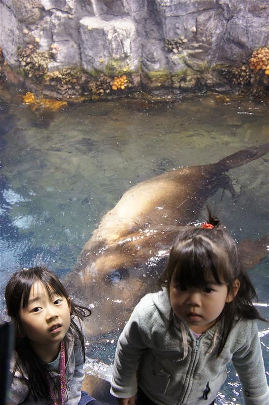 DSC00427.JPG DSC00427.JPG