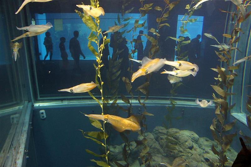 DSC00529.JPG DSC00529.JPG