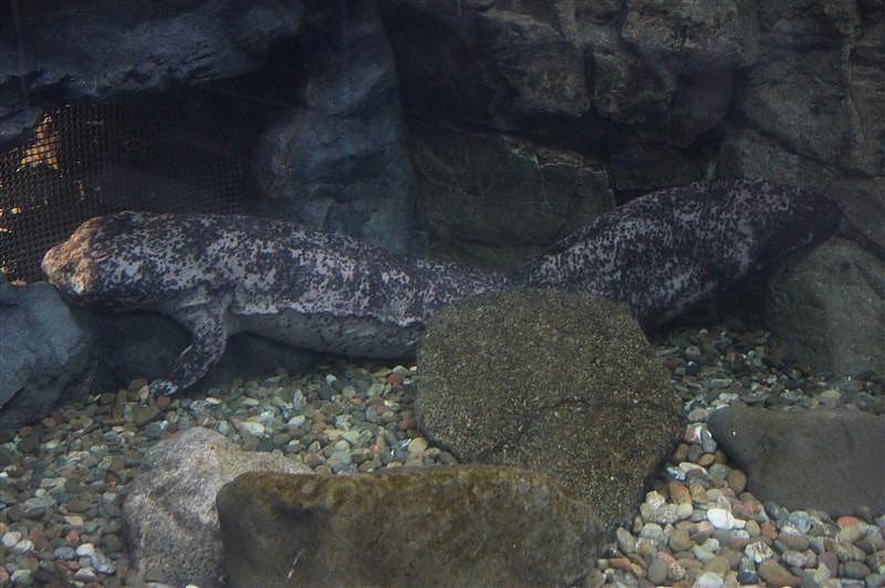 DSC00407.JPG DSC00407.JPG