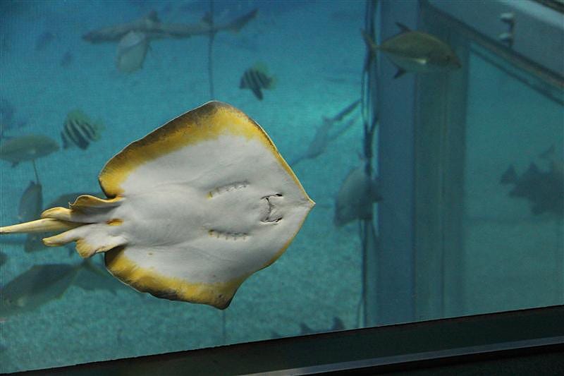 DSC00533.JPG DSC00533.JPG