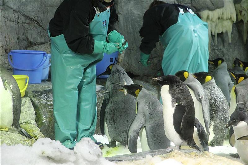 DSC00458.JPG DSC00458.JPG