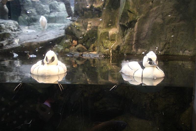 DSC00415.JPG DSC00415.JPG