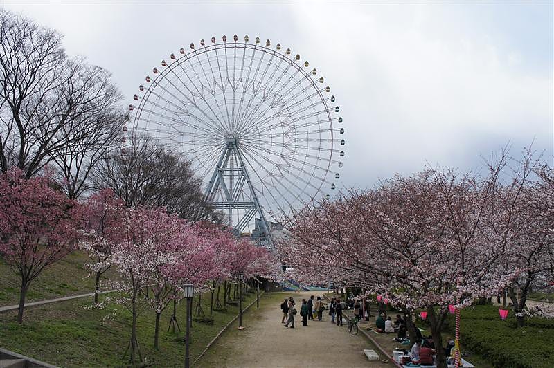 DSC00645.JPG DSC00645.JPG