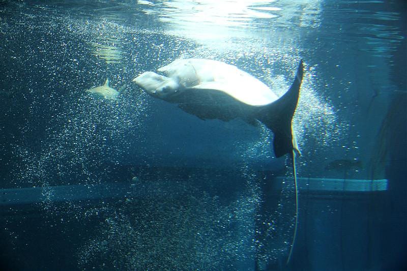 DSC00514.JPG DSC00514.JPG