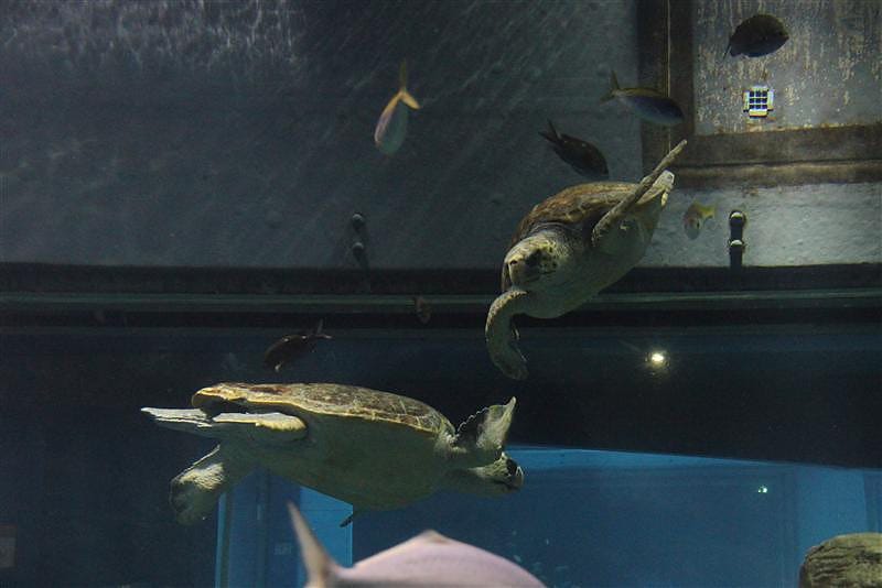 DSC00547.JPG DSC00547.JPG