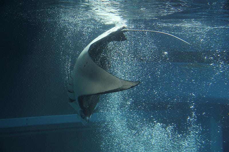 DSC00512.JPG DSC00512.JPG