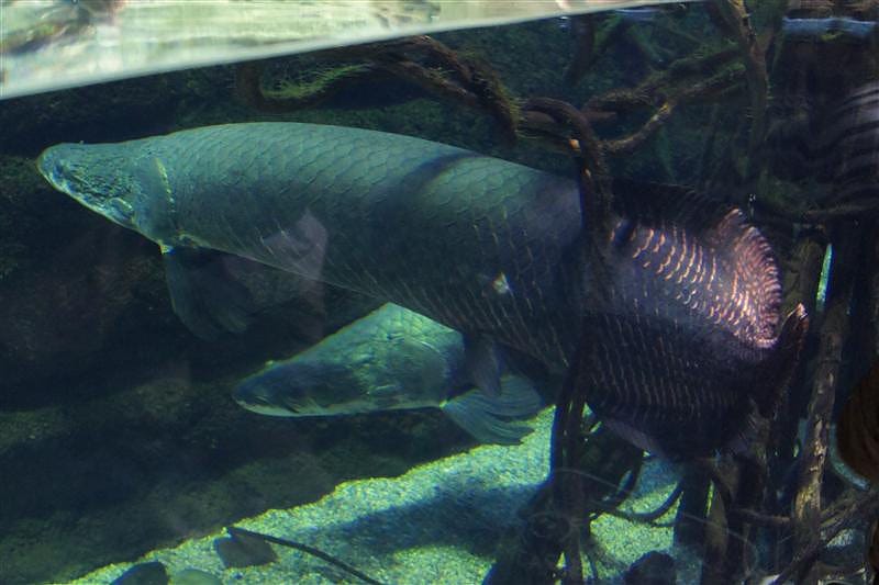 DSC00444.JPG DSC00444.JPG