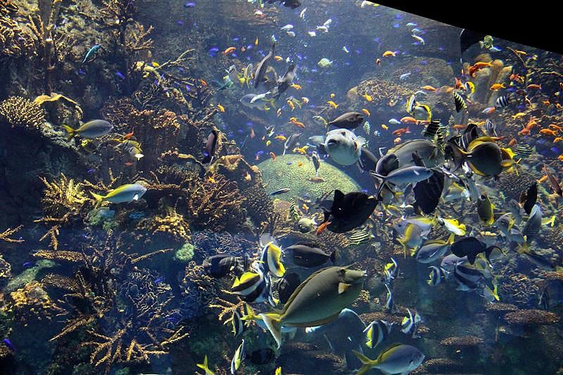 DSC00557.JPG DSC00557.JPG