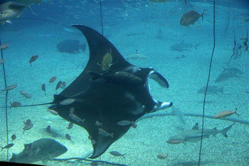 DSC00534.JPG DSC00534.JPG