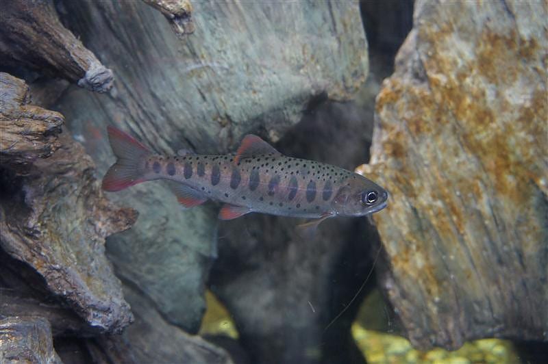 DSC00408.JPG DSC00408.JPG