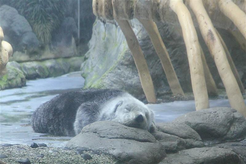 DSC00425.JPG DSC00425.JPG