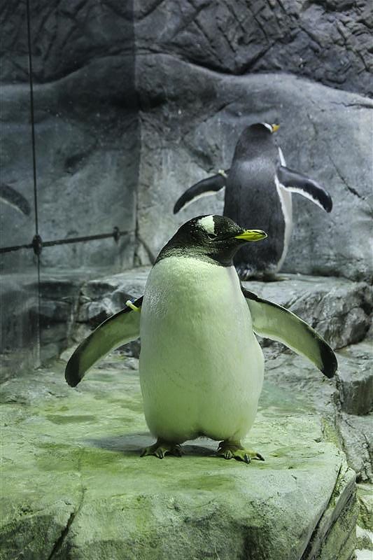 DSC00452.JPG DSC00452.JPG