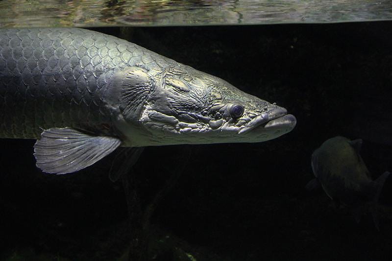 DSC00443.JPG DSC00443.JPG