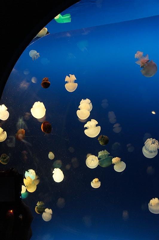 DSC00594.JPG DSC00594.JPG