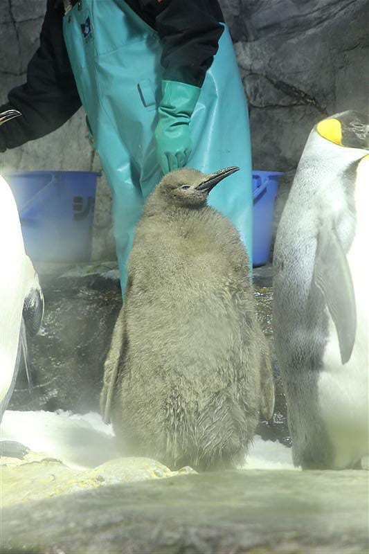 DSC00463.JPG DSC00463.JPG