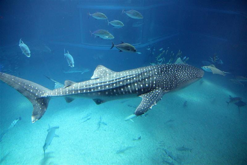 DSC00505.JPG DSC00505.JPG