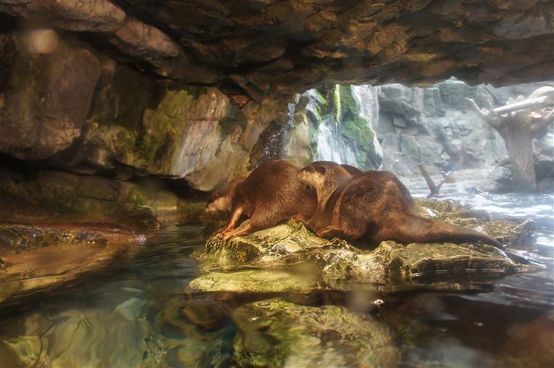 DSC00422.JPG DSC00422.JPG