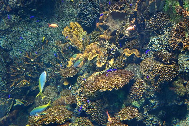 DSC00486.JPG DSC00486.JPG