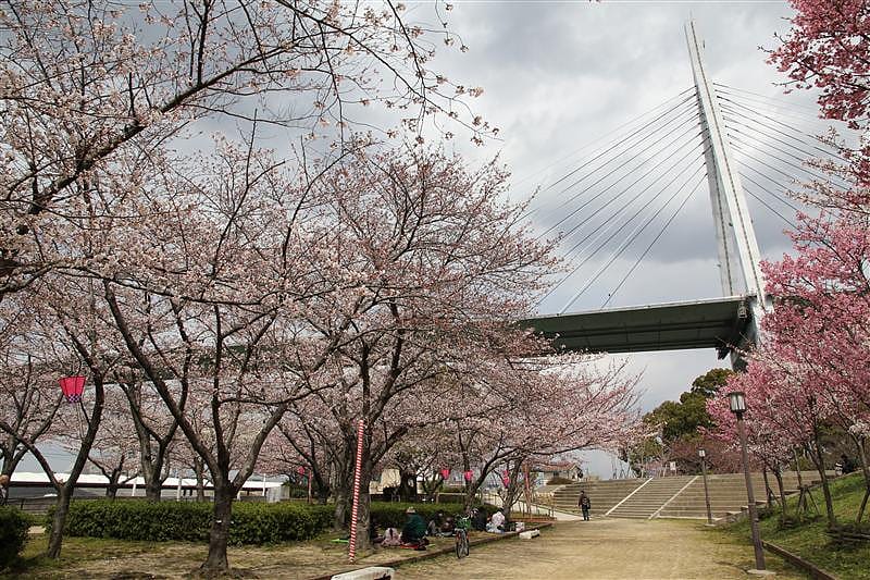 DSC00643(1).JPG DSC00643(1).JPG