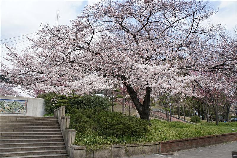 DSC00634.JPG DSC00634.JPG