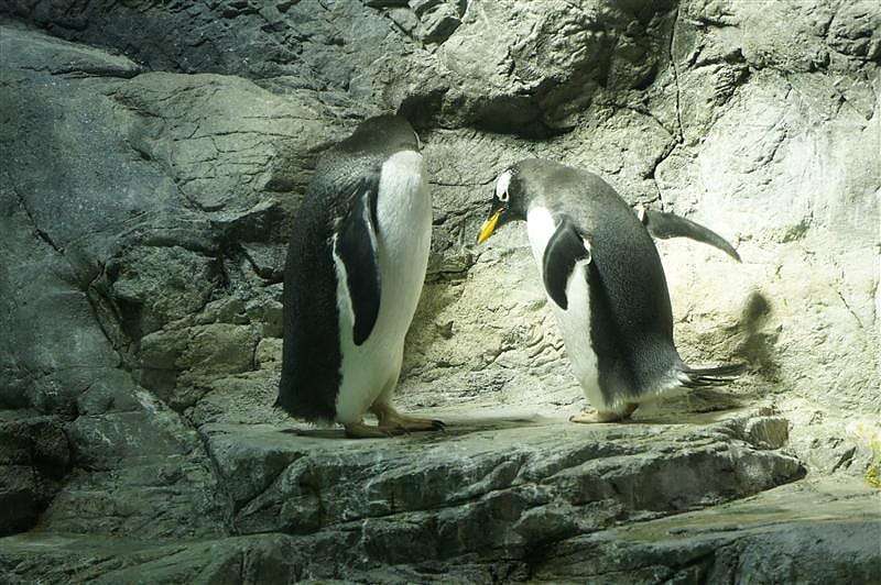 DSC00457.JPG DSC00457.JPG