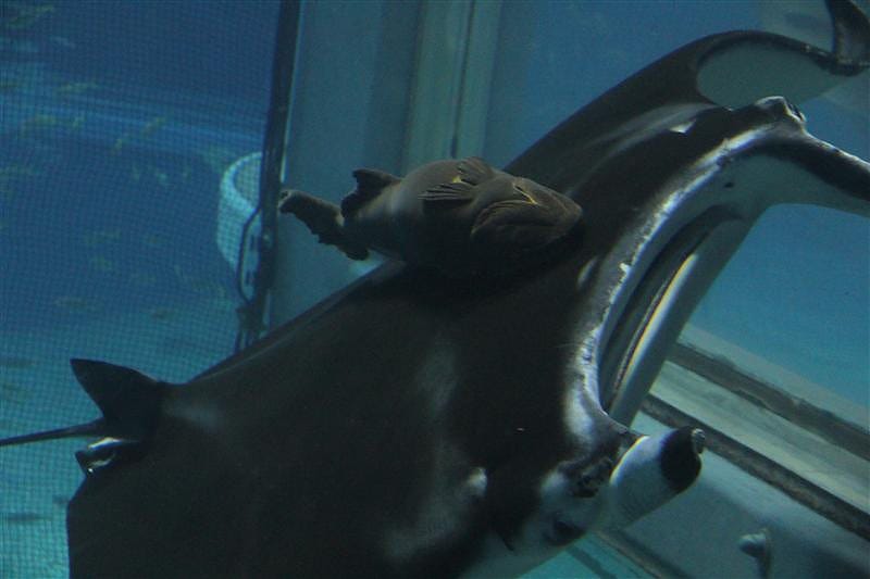 DSC00535.JPG DSC00535.JPG