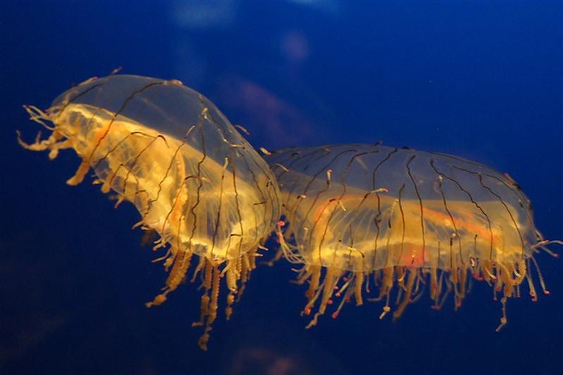 DSC00598.JPG DSC00598.JPG