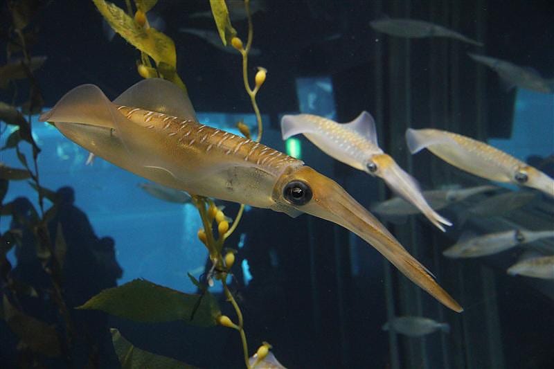 DSC00528.JPG DSC00528.JPG