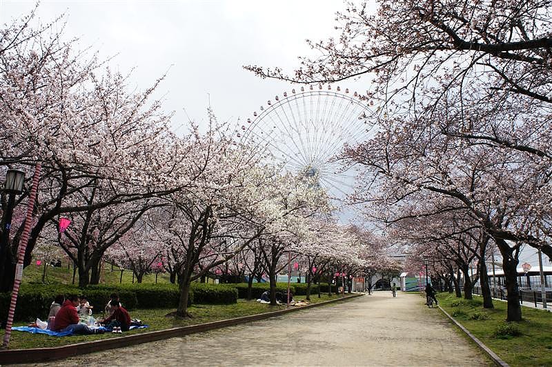 DSC00643.JPG DSC00643.JPG