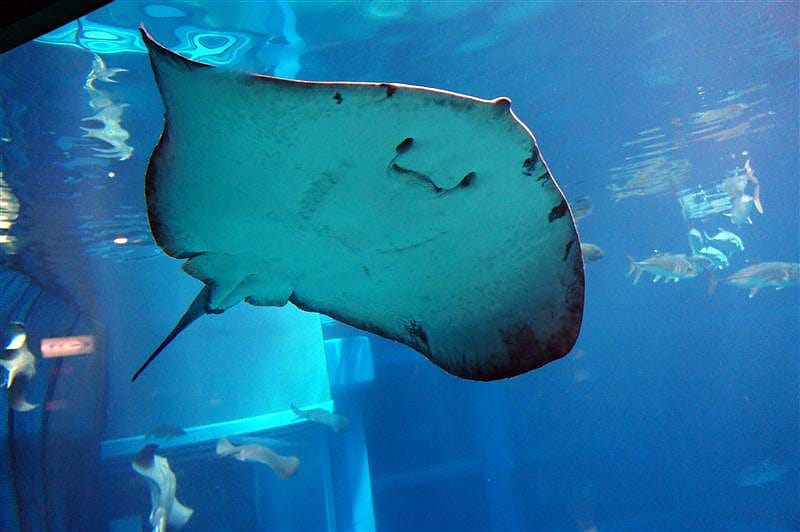 DSC00503.JPG DSC00503.JPG