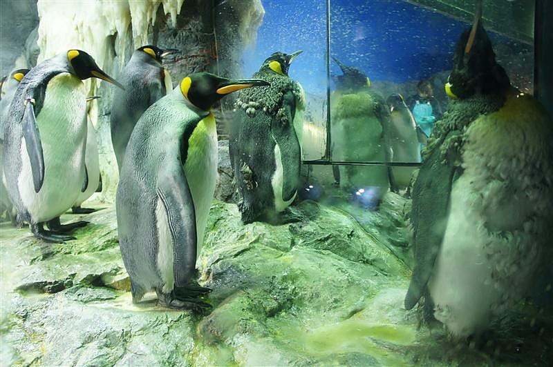 DSC00461.JPG DSC00461.JPG